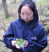 Botany member holds an American Ginger leaf in her hand